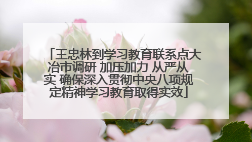 王忠林到学习教育联系点大冶市调研 加压加力 从严从实 确保深入贯彻中央八项规定精神学习教育取得实效