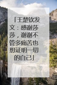 王楚钦发文：感谢莎莎，谢谢不管多痛苦也想证明一切的自己