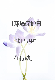 环境保护日 “红马甲”在行动