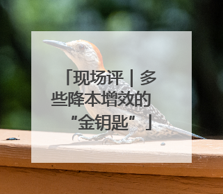 现场评｜多些降本增效的“金钥匙”
