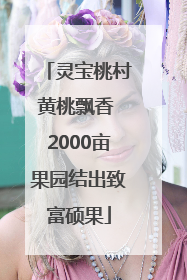 灵宝桃村黄桃飘香 2000亩果园结出致富硕果