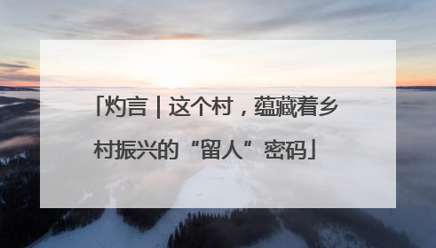 灼言｜这个村，蕴藏着乡村振兴的“留人”密码