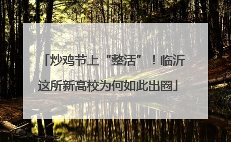 炒鸡节上“整活”！临沂这所新高校为何如此出圈