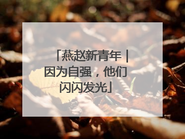 燕赵新青年｜因为自强，他们闪闪发光
