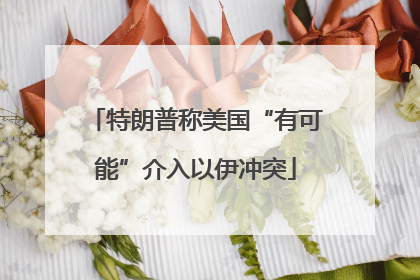特朗普称美国“有可能”介入以伊冲突