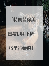 特朗普称美国与伊朗下周将举行会谈