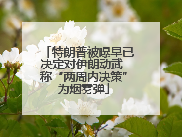 特朗普被曝早已决定对伊朗动武 称“两周内决策”为烟雾弹