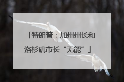 特朗普：加州州长和洛杉矶市长“无能”