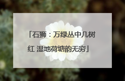 石狮：万绿丛中几树红 湿地荷塘韵无穷