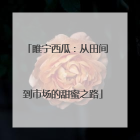 睢宁西瓜：从田间到市场的甜蜜之路