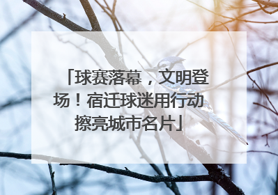 球赛落幕，文明登场！宿迁球迷用行动擦亮城市名片