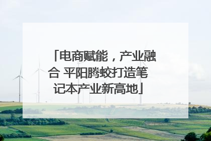 电商赋能，产业融合 平阳腾蛟打造笔记本产业新高地