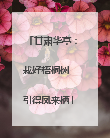 甘肃华亭：栽好梧桐树 引得凤来栖