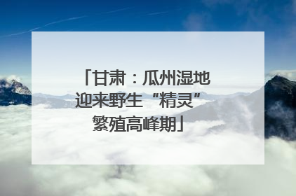 甘肃：瓜州湿地迎来野生“精灵”繁殖高峰期