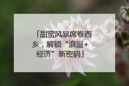 甜蜜风暴席卷西乡，解锁“浪漫+经济”新密码