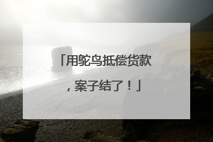 用鸵鸟抵偿货款，案子结了！