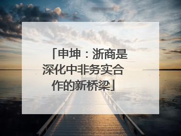 申坤：浙商是深化中非务实合作的新桥梁