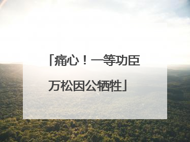 痛心！一等功臣万松因公牺牲