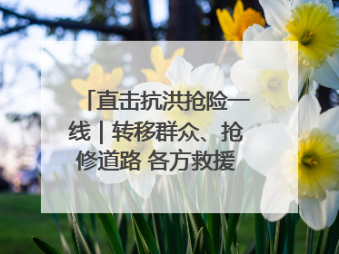 直击抗洪抢险一线｜转移群众、抢修道路 各方救援力量持续奋战