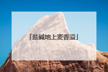 盐碱地上麦香溢