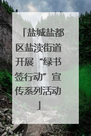 盐城盐都区盐渎街道开展“绿书签行动”宣传系列活动