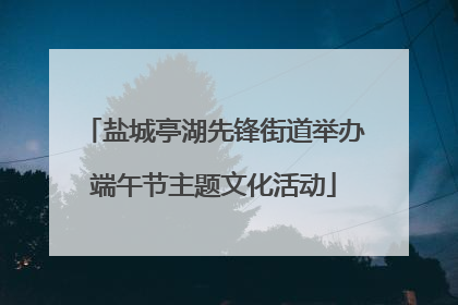 盐城亭湖先锋街道举办端午节主题文化活动
