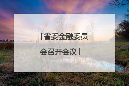 省委金融委员会召开会议