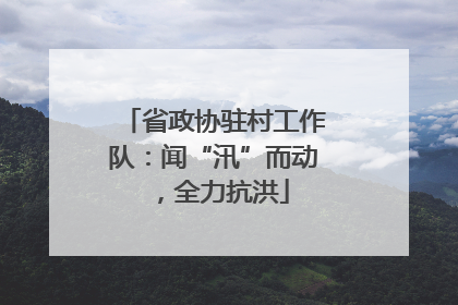 省政协驻村工作队：闻“汛”而动，全力抗洪
