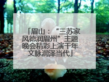 眉山：“三苏家风德润眉州”主题晚会精彩上演千年文脉润泽当代
