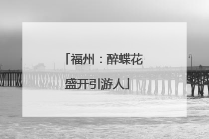 福州：醉蝶花盛开引游人