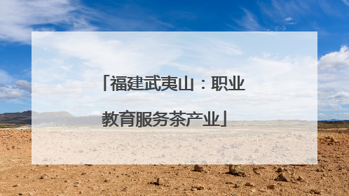 福建武夷山：职业教育服务茶产业