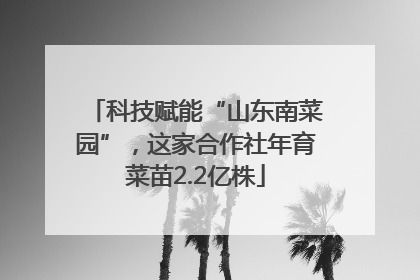 科技赋能“山东南菜园”，这家合作社年育菜苗2.2亿株