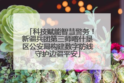 科技赋能智慧警务！新疆兵团第三师喀什垦区公安局构建数字防线守护边疆平安
