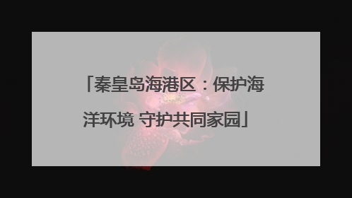 秦皇岛海港区：保护海洋环境 守护共同家园