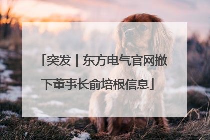 突发｜东方电气官网撤下董事长俞培根信息