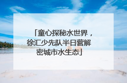 童心探秘水世界，徐汇少先队半日营解密城市水生态