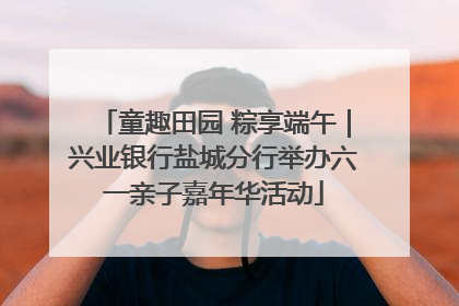 童趣田园 粽享端午｜兴业银行盐城分行举办六一亲子嘉年华活动