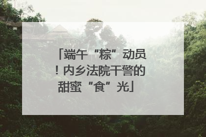 端午“粽”动员！内乡法院干警的甜蜜“食”光