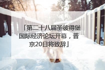 第二十八届圣彼得堡国际经济论坛开幕，普京20日将致辞
