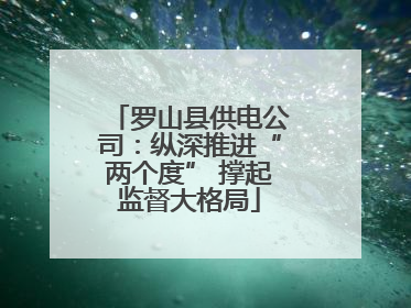 罗山县供电公司：纵深推进“两个度” 撑起监督大格局