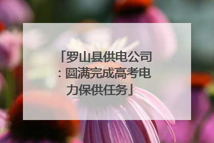 罗山县供电公司：圆满完成高考电力保供任务