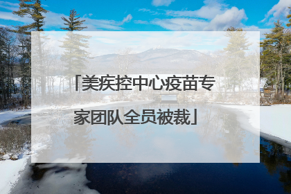 美疾控中心疫苗专家团队全员被裁