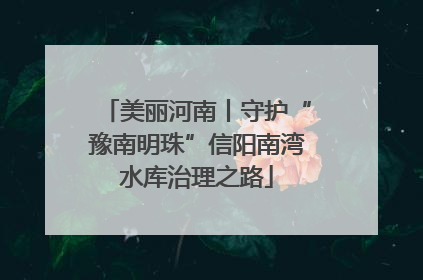 美丽河南丨守护“豫南明珠”信阳南湾水库治理之路