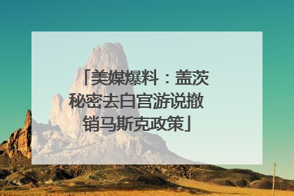 美媒爆料：盖茨秘密去白宫游说撤销马斯克政策