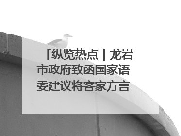 纵览热点｜龙岩市政府致函国家语委建议将客家方言“亻厓”字录入《新华字典》引发热议，当地回应