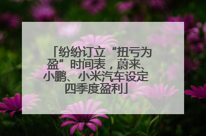 纷纷订立“扭亏为盈”时间表，蔚来、小鹏、小米汽车设定四季度盈利