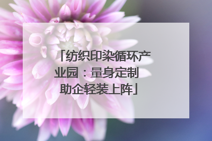 纺织印染循环产业园：量身定制 助企轻装上阵