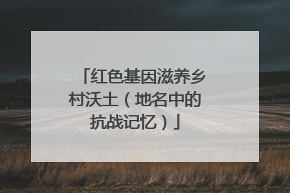 红色基因滋养乡村沃土（地名中的抗战记忆）
