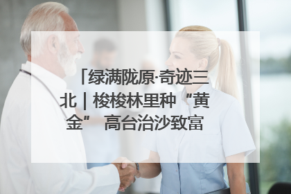 绿满陇原·奇迹三北｜梭梭林里种“黄金” 高台治沙致富很“从容”