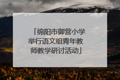 绵阳市御营小学举行语文组青年教师教学研讨活动